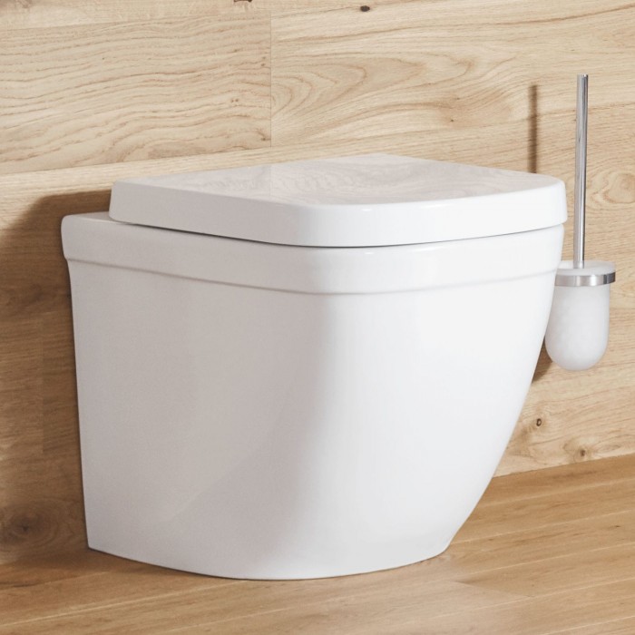 EURO CERAMIC FLOOR STANDING BACK TO WALL WC WITH PUREGUARD